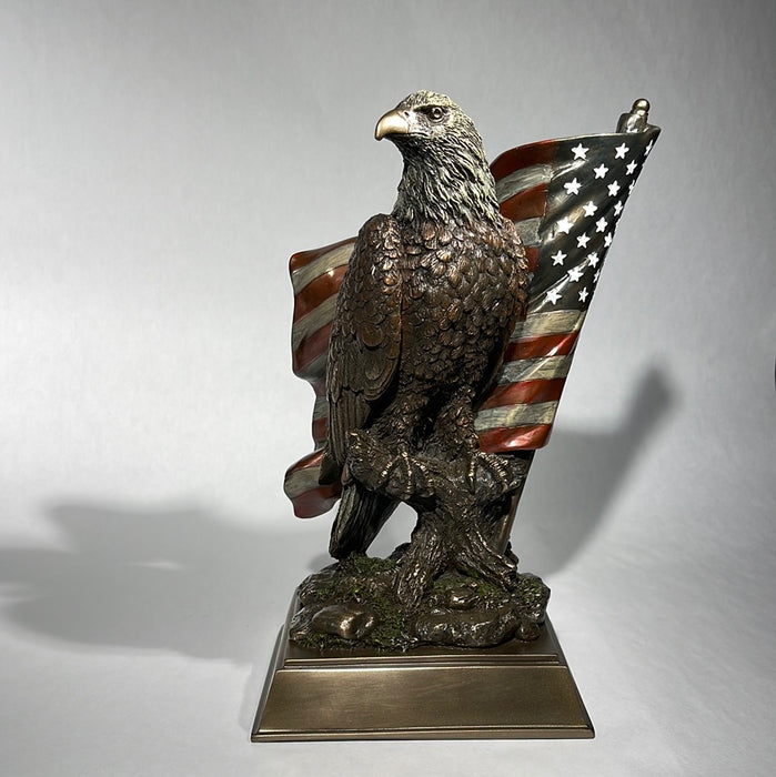 eagle with flag awards 