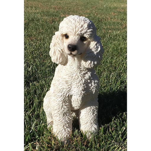 White Toy Poodle Dog Statue- Outdoor
