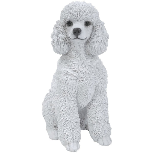 White Toy Poodle Dog Statue- 12.5 inch