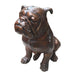 Bronze Bulldog Sitting Sculpture