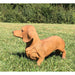 Brown Dachshund Statue- On Grass- Front View