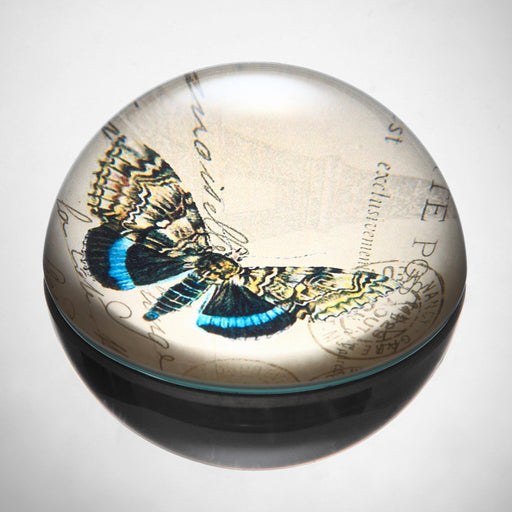 Butterfly Art Glass Paperweight- Blue and Yellow by San Pacific International/SPI Home