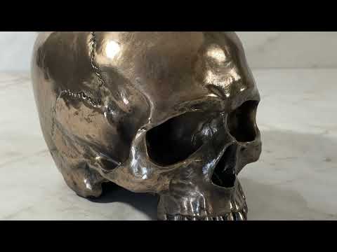 human skull statue video