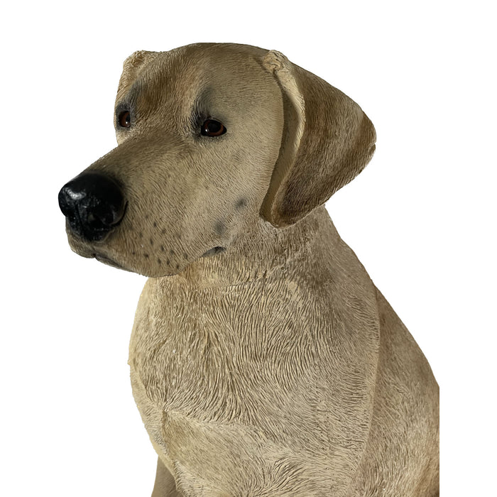 Lifesize Yellow Lab Dog Statue Detail