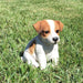 Realistic Jack Russell Terrier Puppy Statue- Outdoor