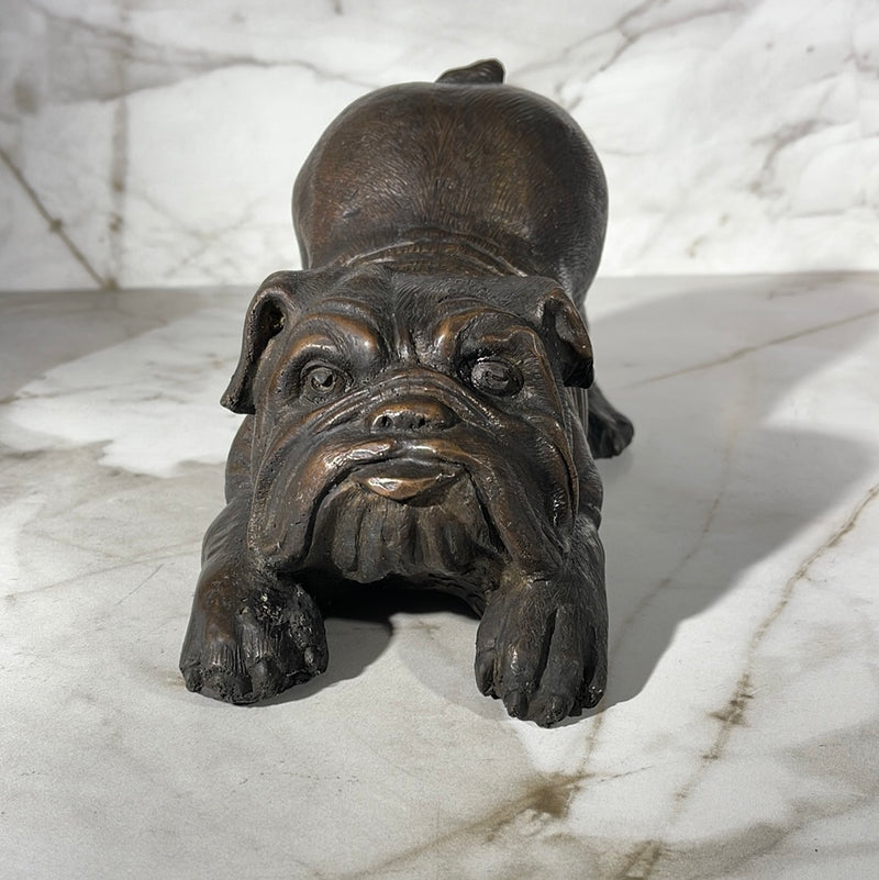 bronze bulldog 