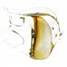 Murano Glass Tropical Fish Figurine-Amber-Gold