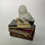 owl on books 