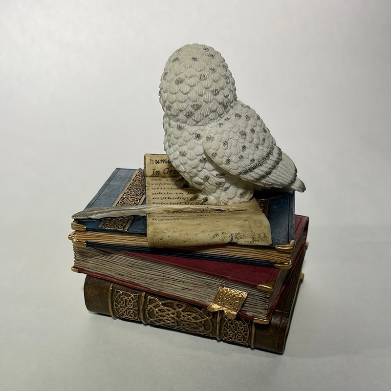 owl on books 