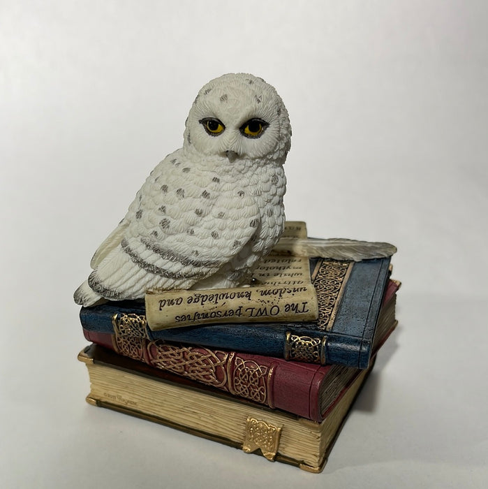 owl on bokks figurine 