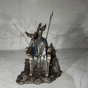odin back view