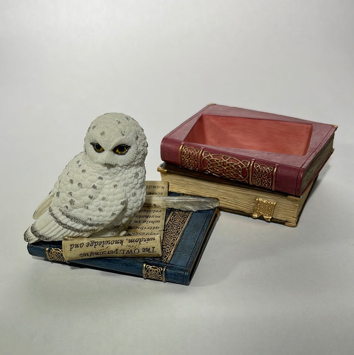 owl on books hidden box