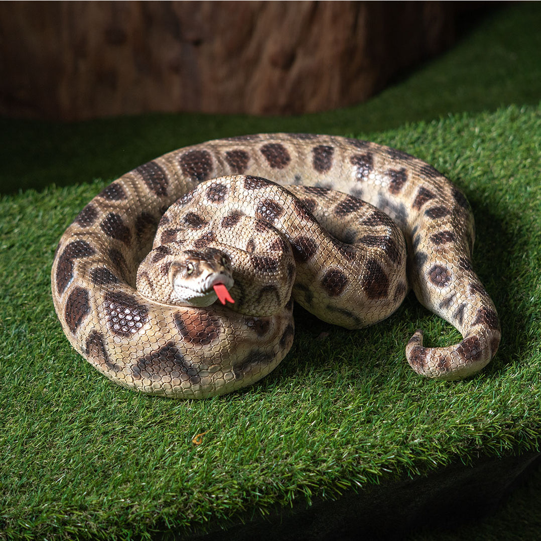 Boa Constrictor Snake Statue-Realistic — AllSculptures