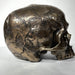 human skull statue side