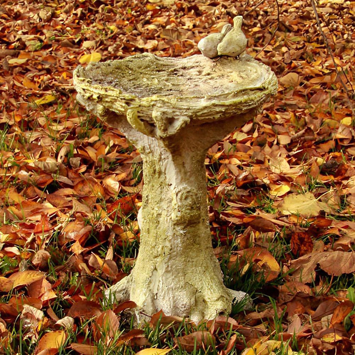 Nature Wonders Bird Bath