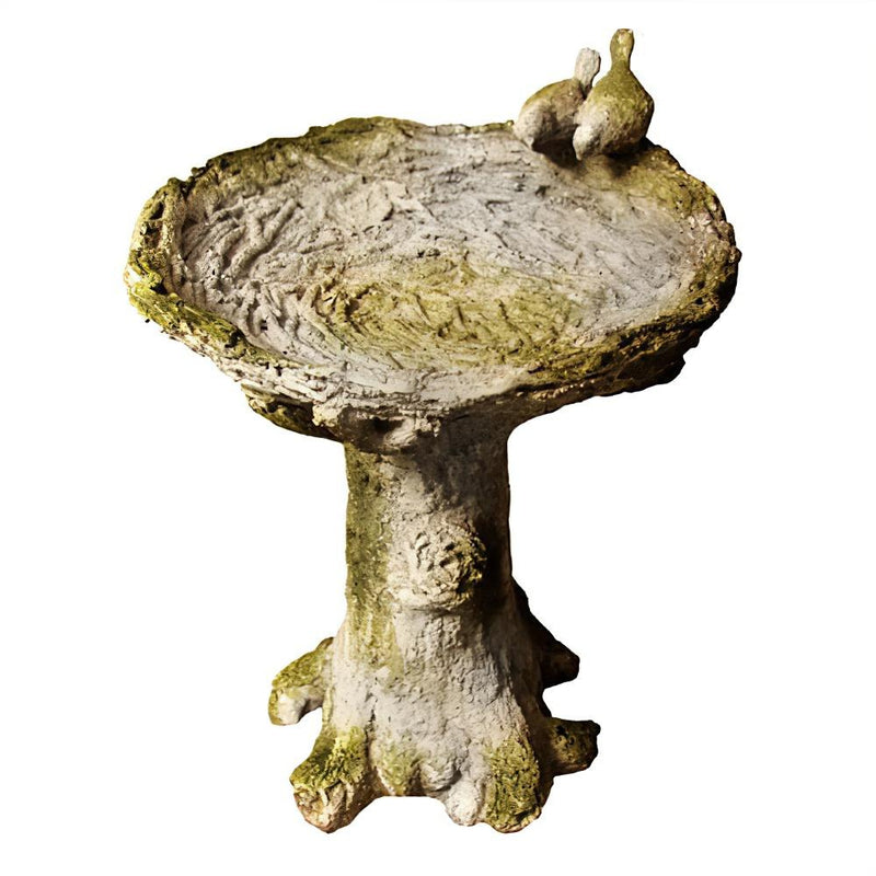 Nature Wonders Bird Bath