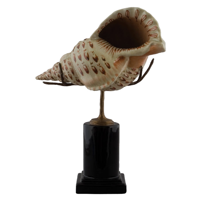 Ocean Gem Shell Sculpture-Porcelain