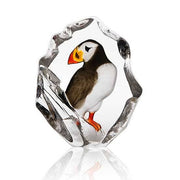 Puffin Bird Art Crystal Sculpture