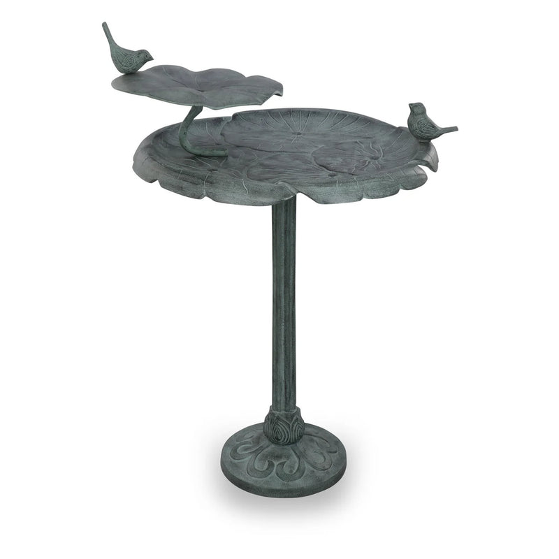 Bird Chat on Lotus Birdbath and Birdfeeder
