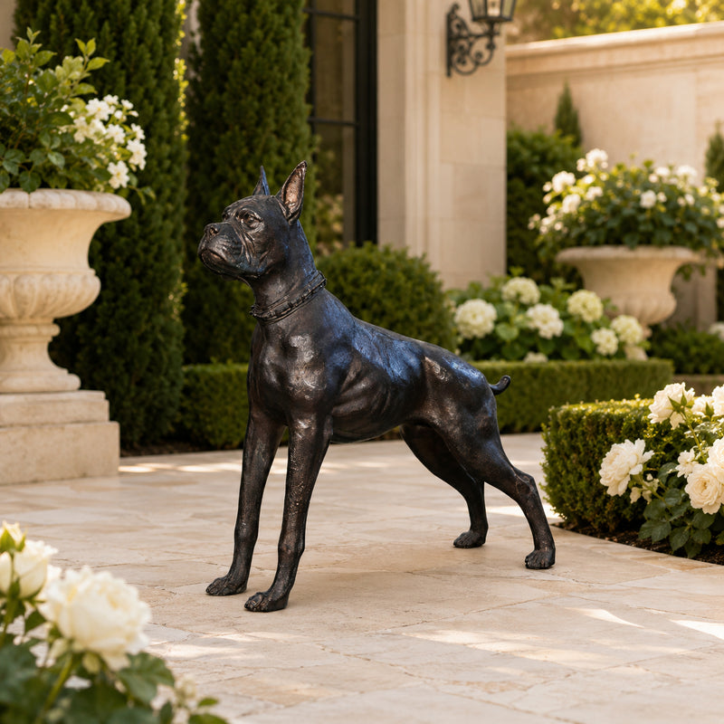 Bronze statue of a boxer dog on a patio with flowers and plants in the background