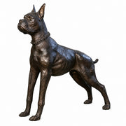 Bronze boxer dog statue on a white background