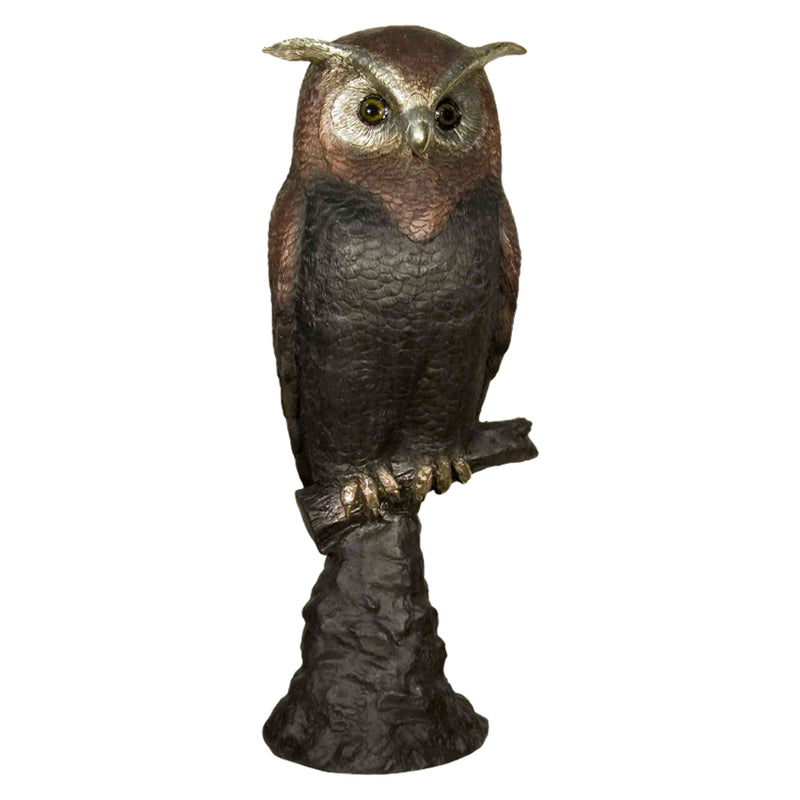 Sitting Bronze Owl Sculpture