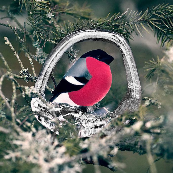 Finch Bird Figurine