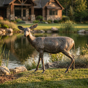 deer garden statue made of bronze. 