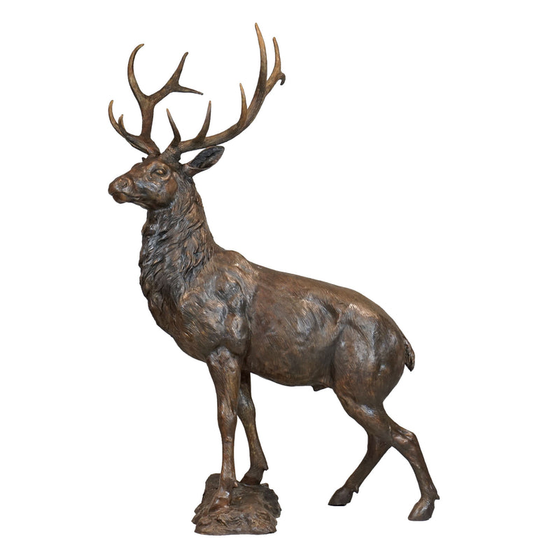 Large Standing Elk Bronze Sculpture