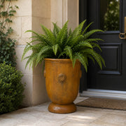 A large French Anduze  planter with a green fern plant, placed on a stone patio in front of a black door and beige stone wall.