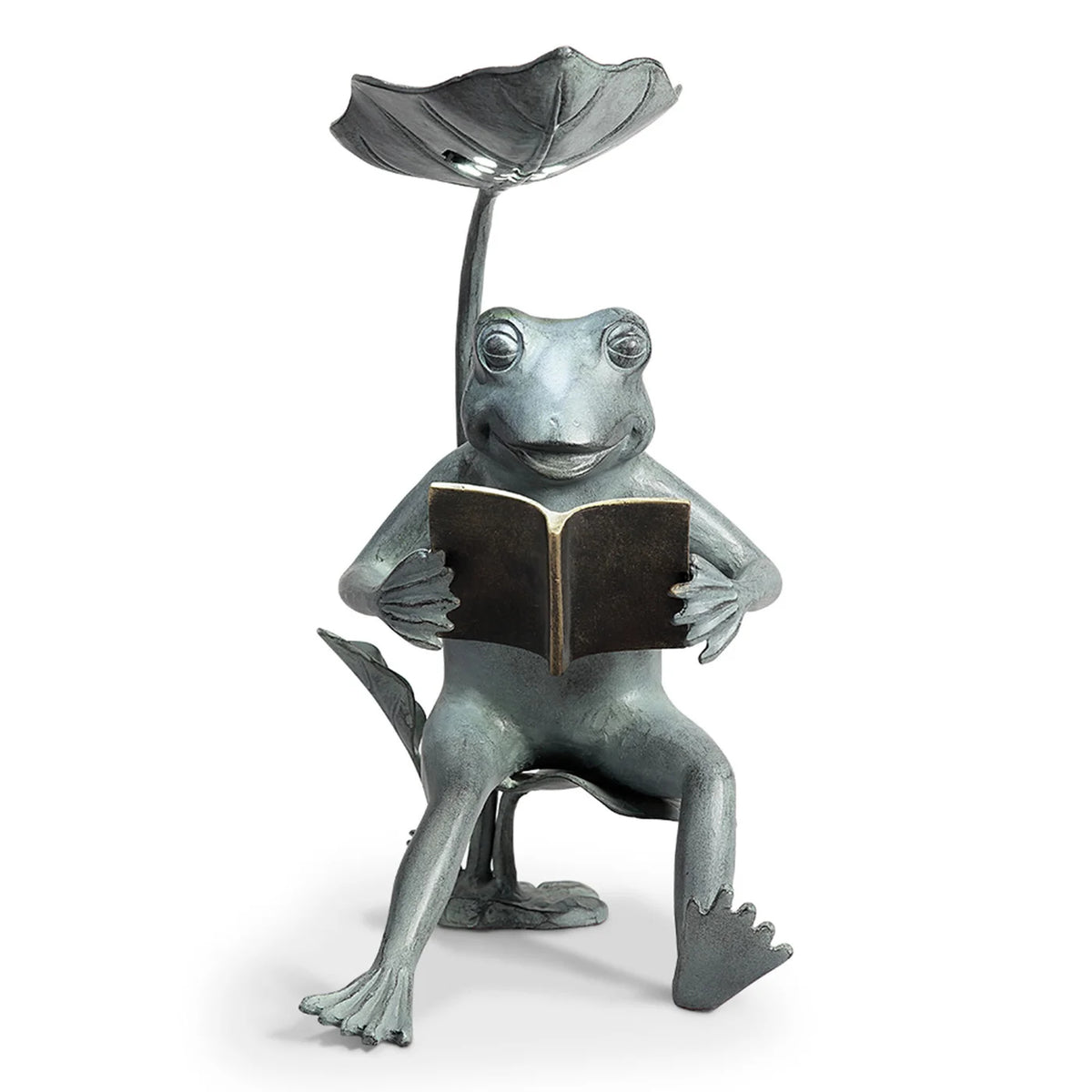 Reading Frog Birdfeeder with LED Light by San Pacific International/SPI ...