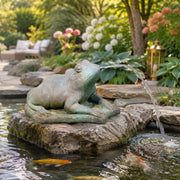 frog fountain spitter on rock overlooking koi pond