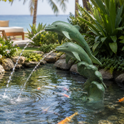 Decorative dolphin fountain in a garden pond with fish swimming around. SPI Home Model 51122