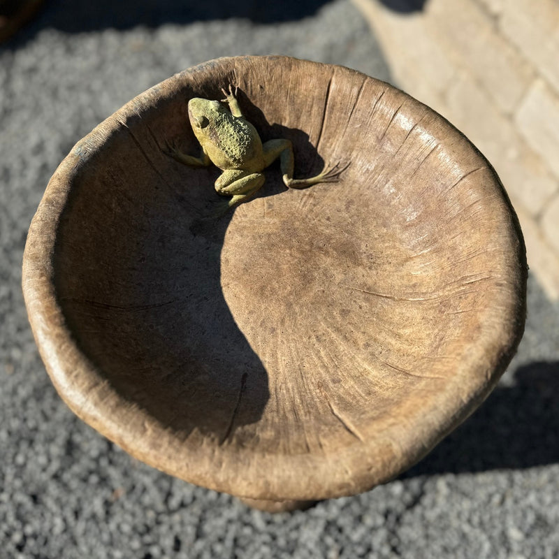 Frog on Mushroom Birdbath-Cast Stone