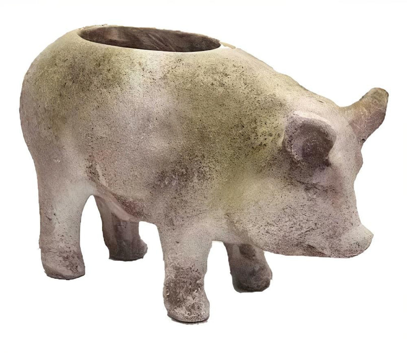 Piggy Garden Pot