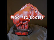 Razorback Mascot Youtube Video