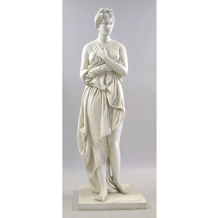 Shy Venus Statue- Fiberglass