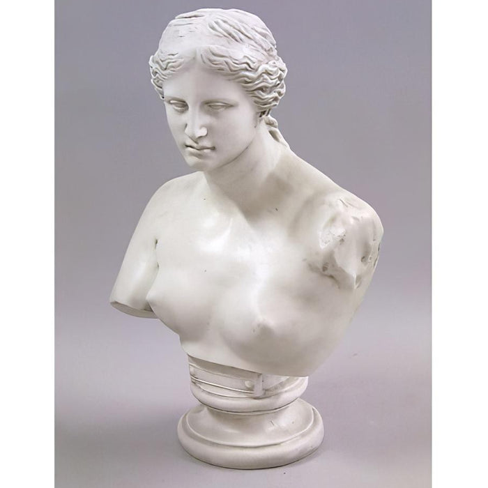 Small Venus Bust