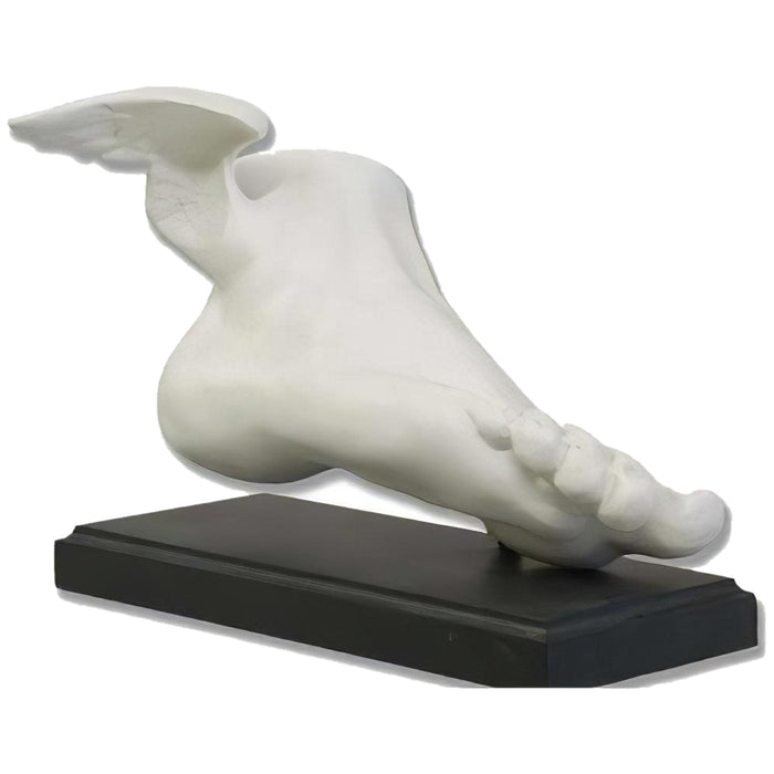 Winged Mercury Foot on Base Statue