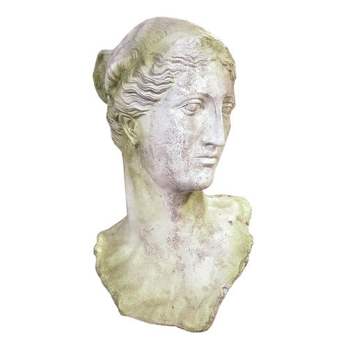 Alexis Garden Bust