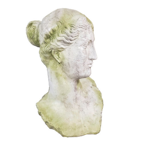 Alexis Garden Bust