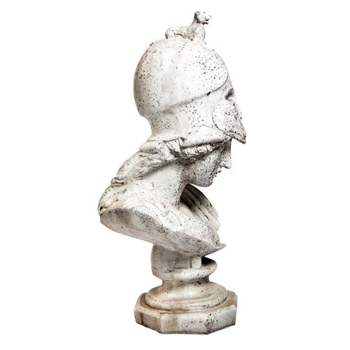 Athena Greek Goddess of Wisdom Bust
