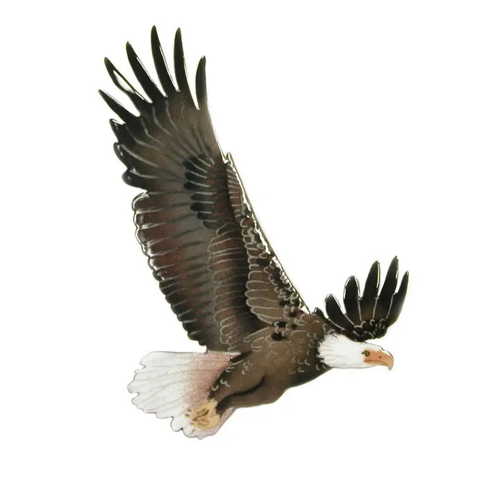 Bald Eagle In Flight Metal Wall Art