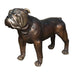 Bronze Bulldog Standing Sculpture