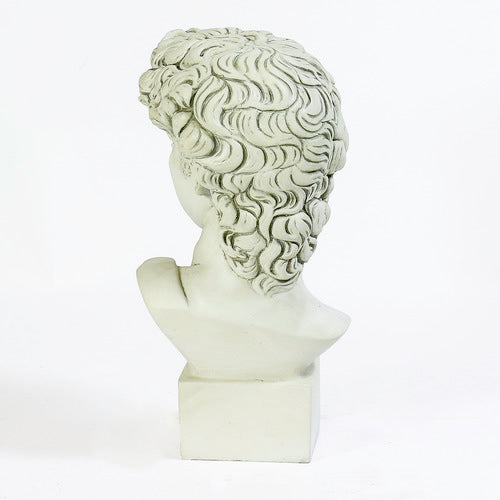 Bust of David Statue-Antique Stone