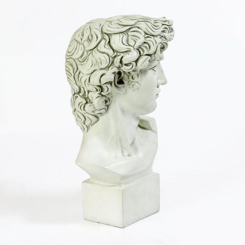 Bust of David Statue-Antique Stone