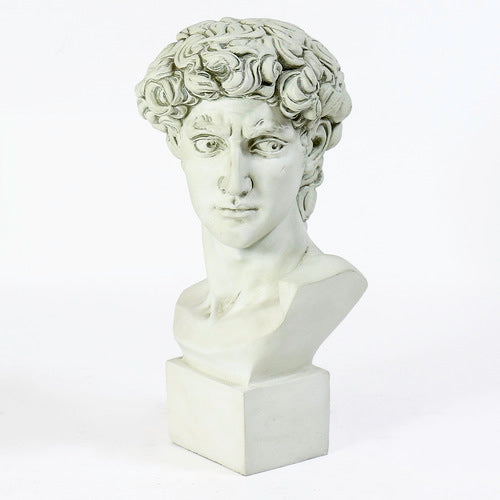 Bust of David Statue-Antique Stone