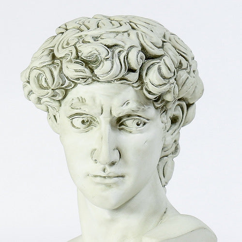 Bust of David Statue-Antique Stone