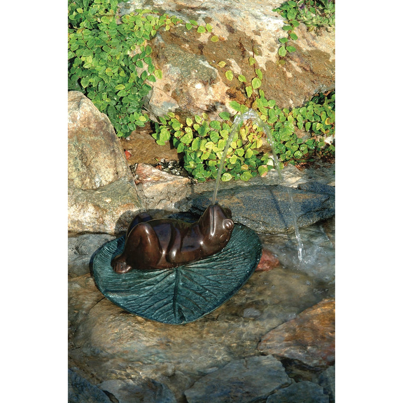 Darn Frog Garden Fountain