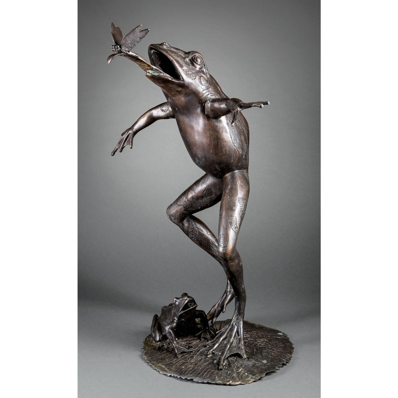 Frog with Dragonfly Bronze Fountain